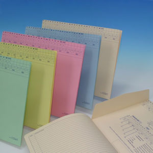 Tidy Files - Light Weight Document Folders TF074023