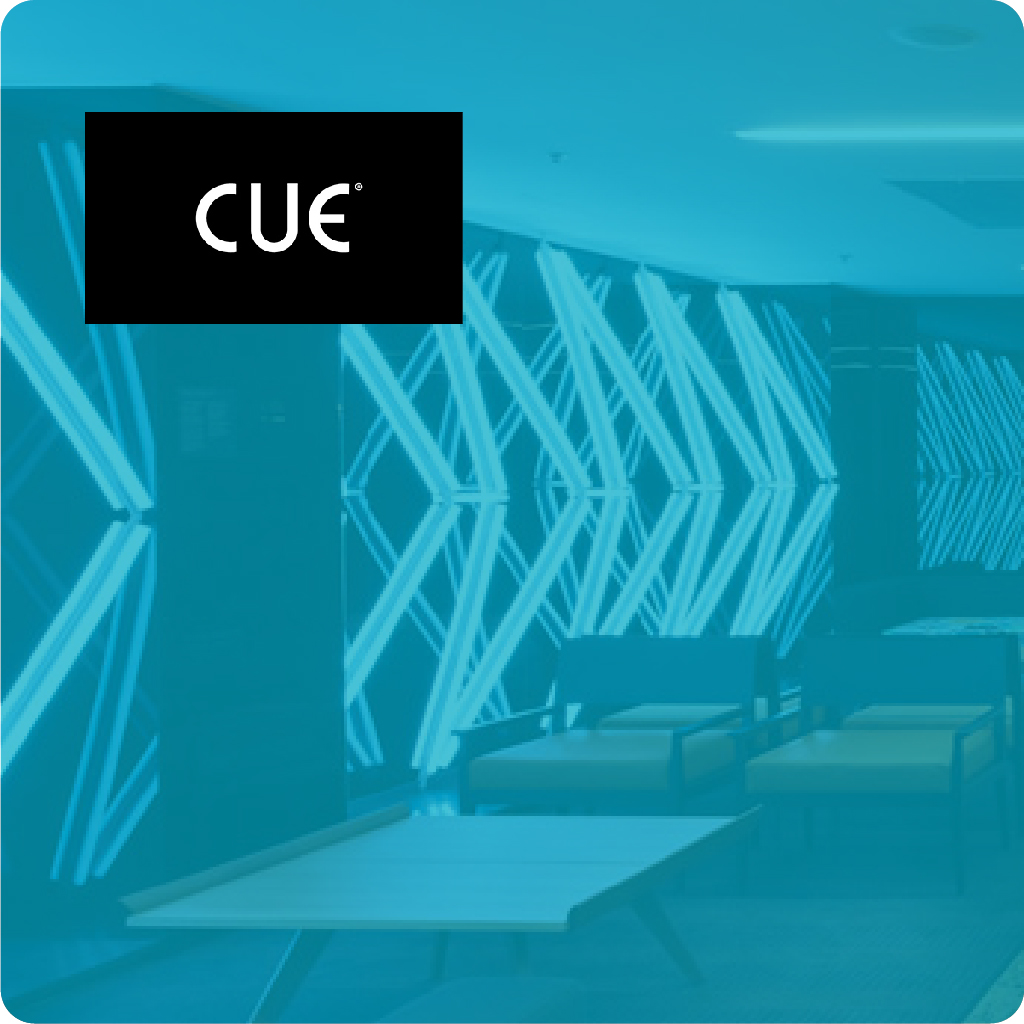 TIMG Customer Success Story for Cue Clothing.