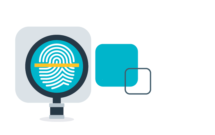 TIMG Forensic Collection data services Australia